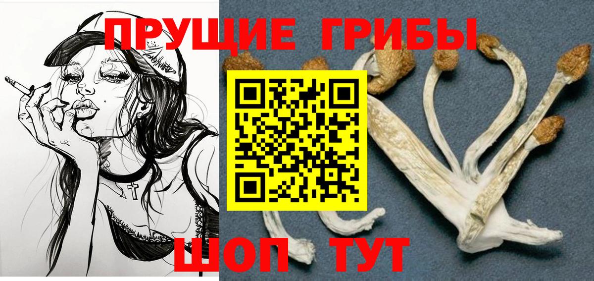 Псилоцибиновые грибы GOLDEN TEACHER Егорьевск
