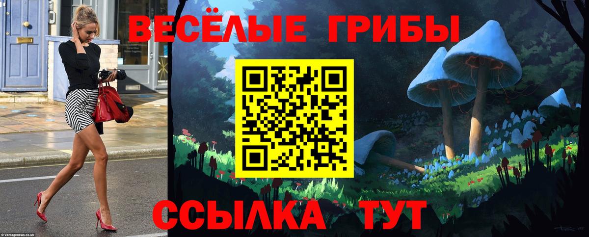 Псилоцибиновые грибы GOLDEN TEACHER  Вход с VPN  хочу   Егорьевск 